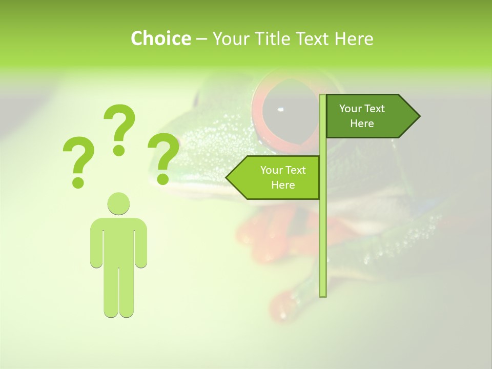 Wildlife Tree Frog Isolated On White PowerPoint Template