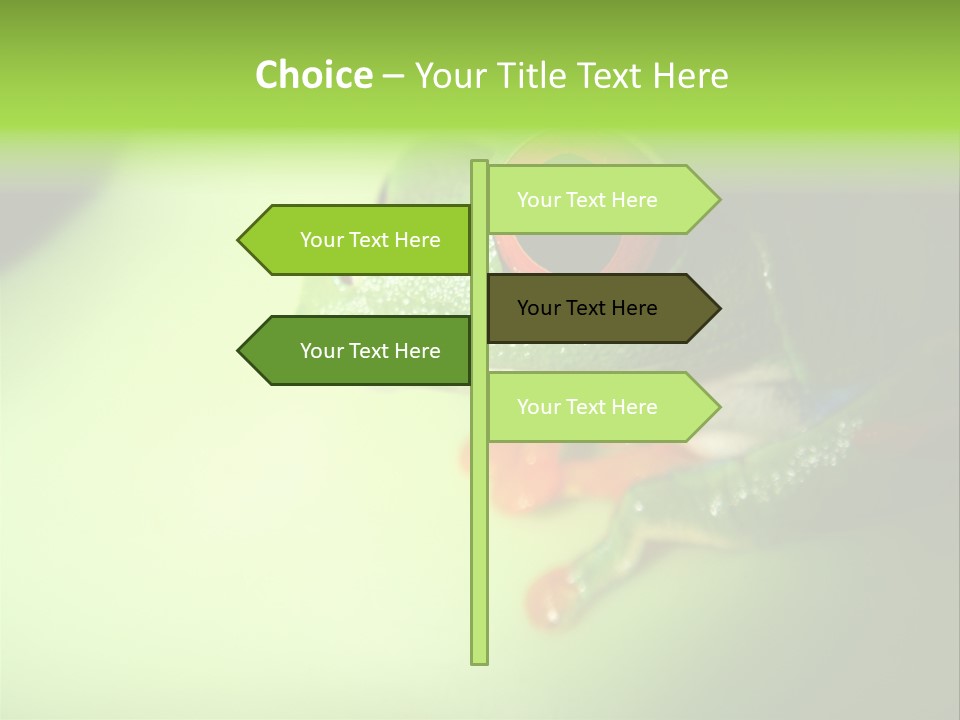 Wildlife Tree Frog Isolated On White PowerPoint Template