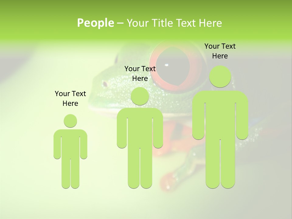 Wildlife Tree Frog Isolated On White PowerPoint Template