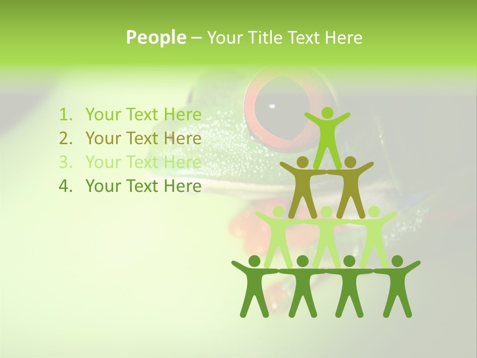 Wildlife Tree Frog Isolated On White PowerPoint Template