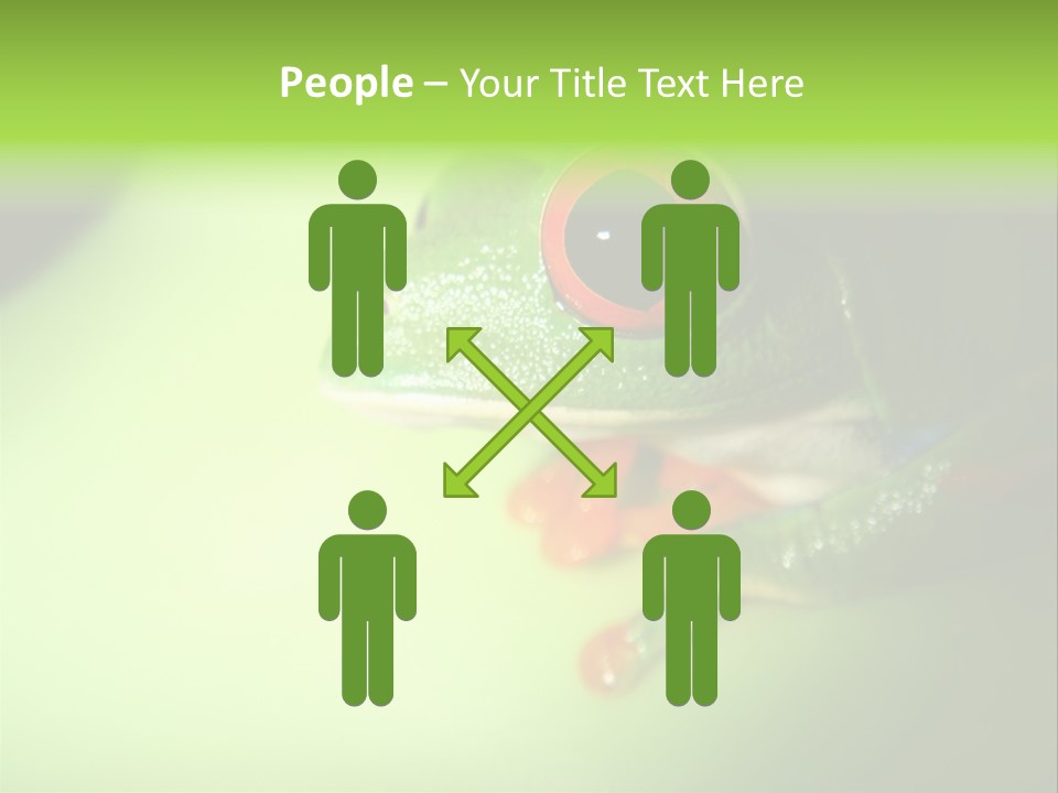 Wildlife Tree Frog Isolated On White PowerPoint Template