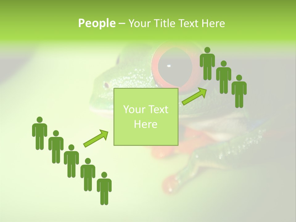 Wildlife Tree Frog Isolated On White PowerPoint Template