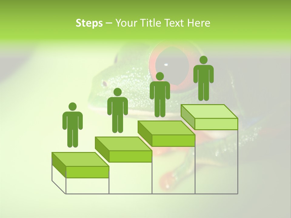 Wildlife Tree Frog Isolated On White PowerPoint Template