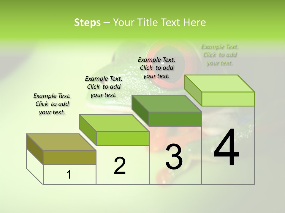 Wildlife Tree Frog Isolated On White PowerPoint Template