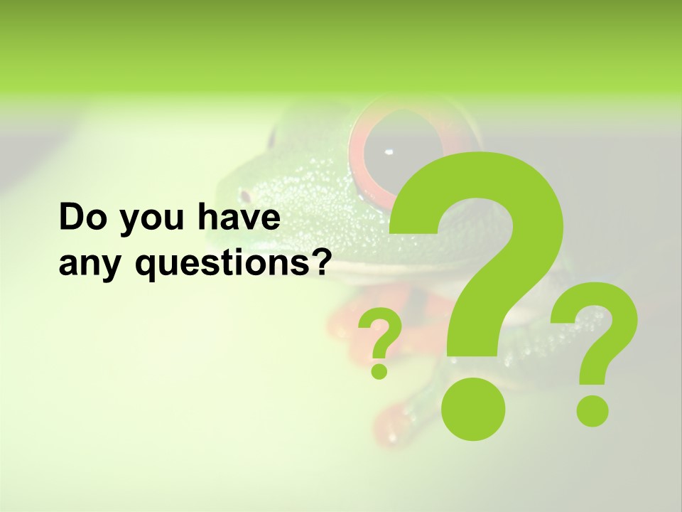 Wildlife Tree Frog Isolated On White PowerPoint Template