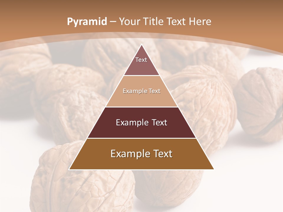 Meal Care Diet PowerPoint Template