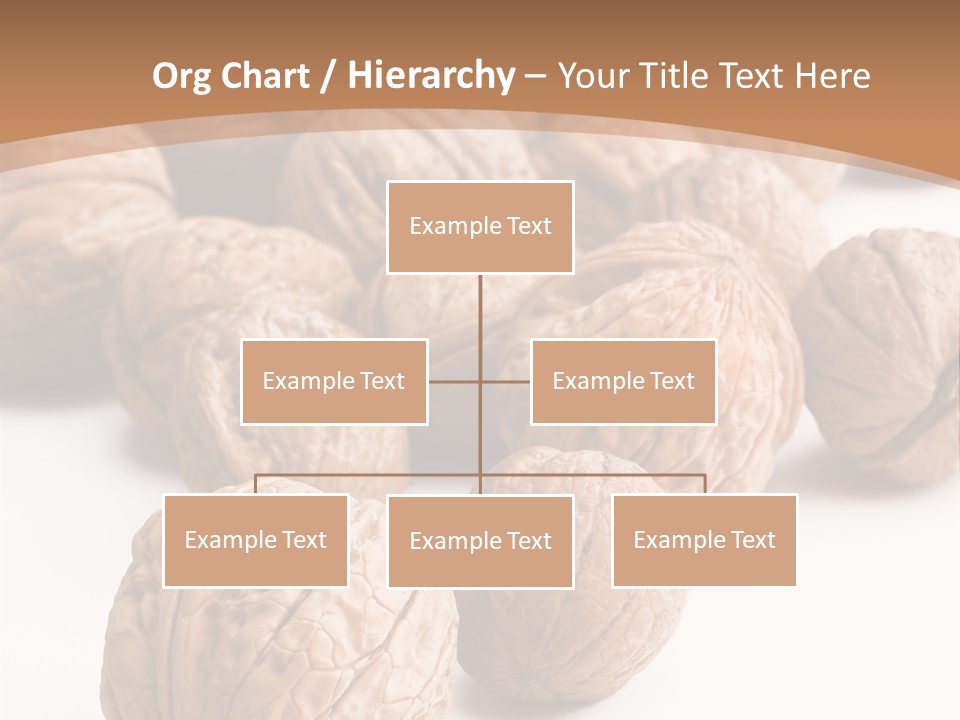 Meal Care Diet PowerPoint Template