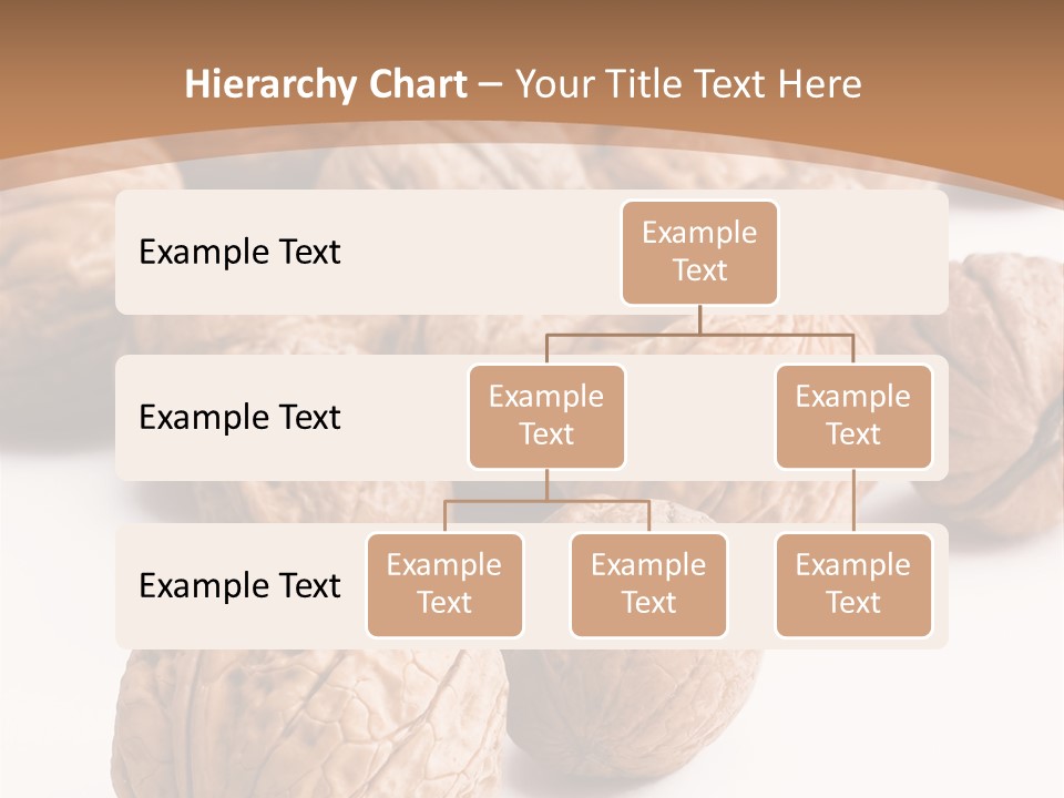 Meal Care Diet PowerPoint Template