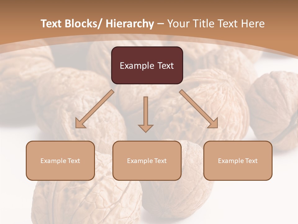 Meal Care Diet PowerPoint Template