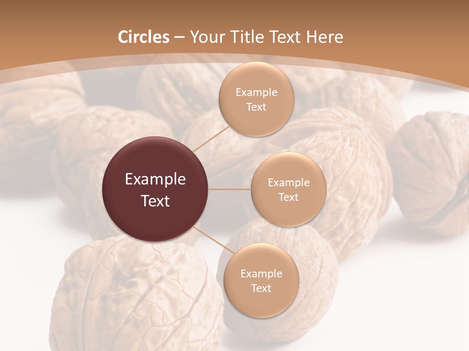 Meal Care Diet PowerPoint Template