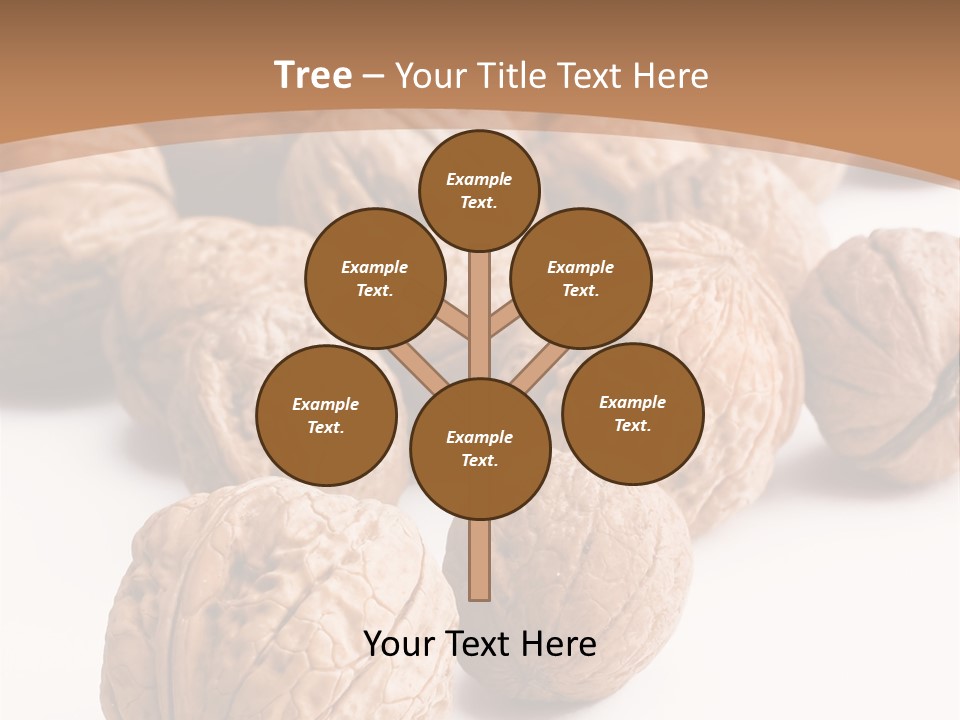 Meal Care Diet PowerPoint Template