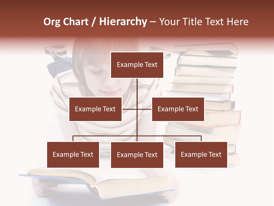 Filly Undergraduate Pleasure PowerPoint Template