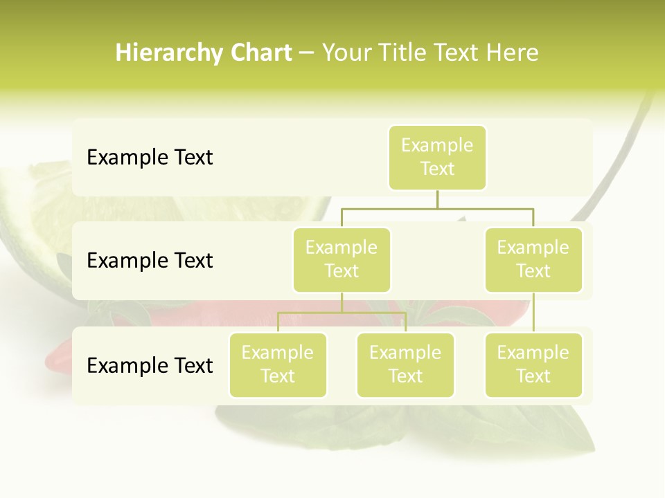 Herb Chili Pepper Isolated PowerPoint Template