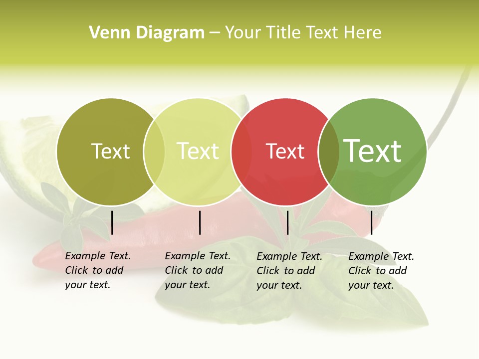Herb Chili Pepper Isolated PowerPoint Template