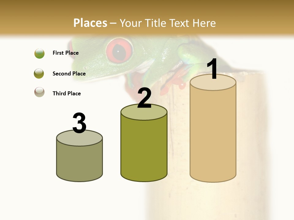 Amphibian Red Eyed Tree Frog Isolated PowerPoint Template