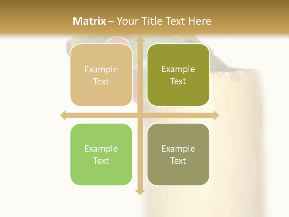 Amphibian Red Eyed Tree Frog Isolated PowerPoint Template