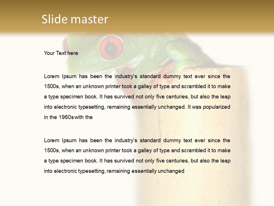 Amphibian Red Eyed Tree Frog Isolated PowerPoint Template