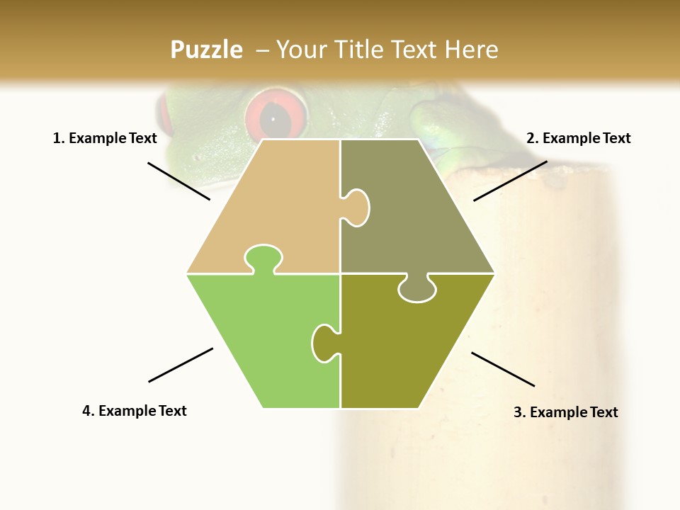 Amphibian Red Eyed Tree Frog Isolated PowerPoint Template