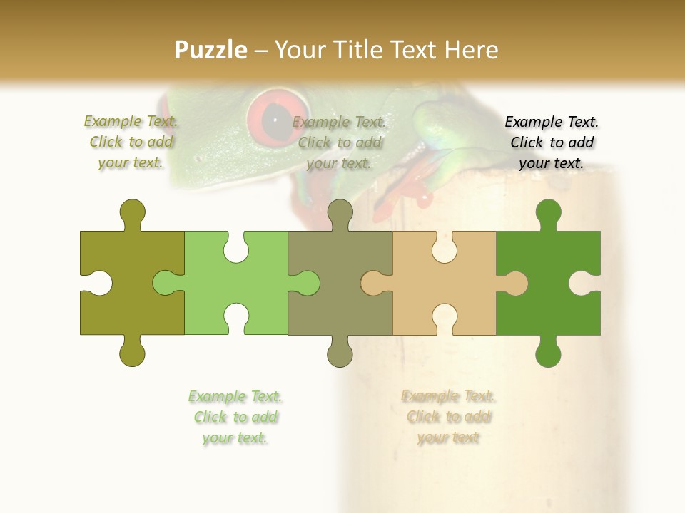 Amphibian Red Eyed Tree Frog Isolated PowerPoint Template