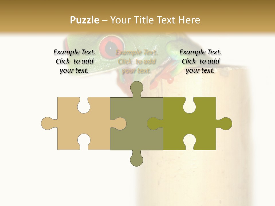 Amphibian Red Eyed Tree Frog Isolated PowerPoint Template