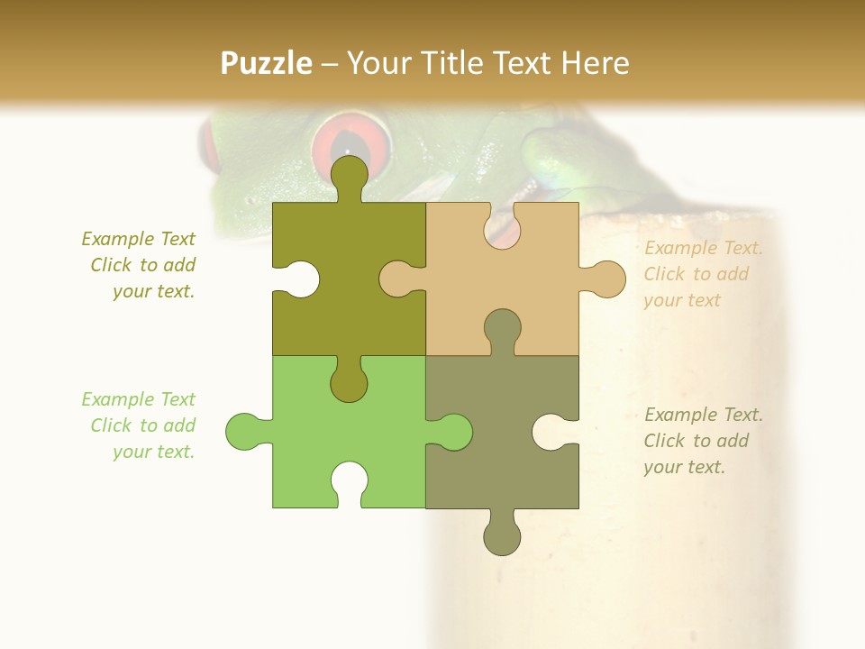 Amphibian Red Eyed Tree Frog Isolated PowerPoint Template