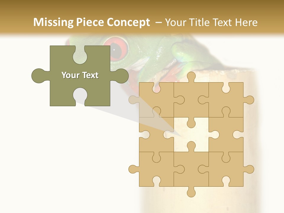 Amphibian Red Eyed Tree Frog Isolated PowerPoint Template