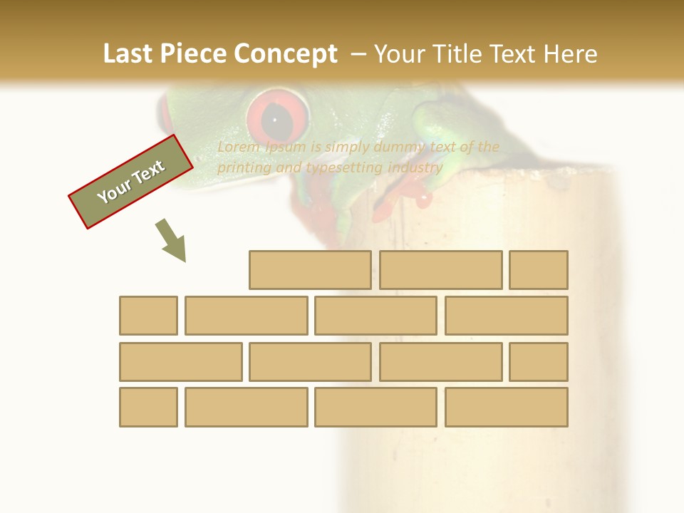 Amphibian Red Eyed Tree Frog Isolated PowerPoint Template