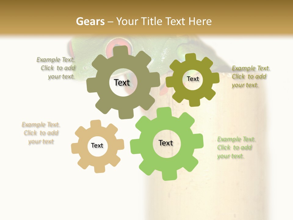 Amphibian Red Eyed Tree Frog Isolated PowerPoint Template