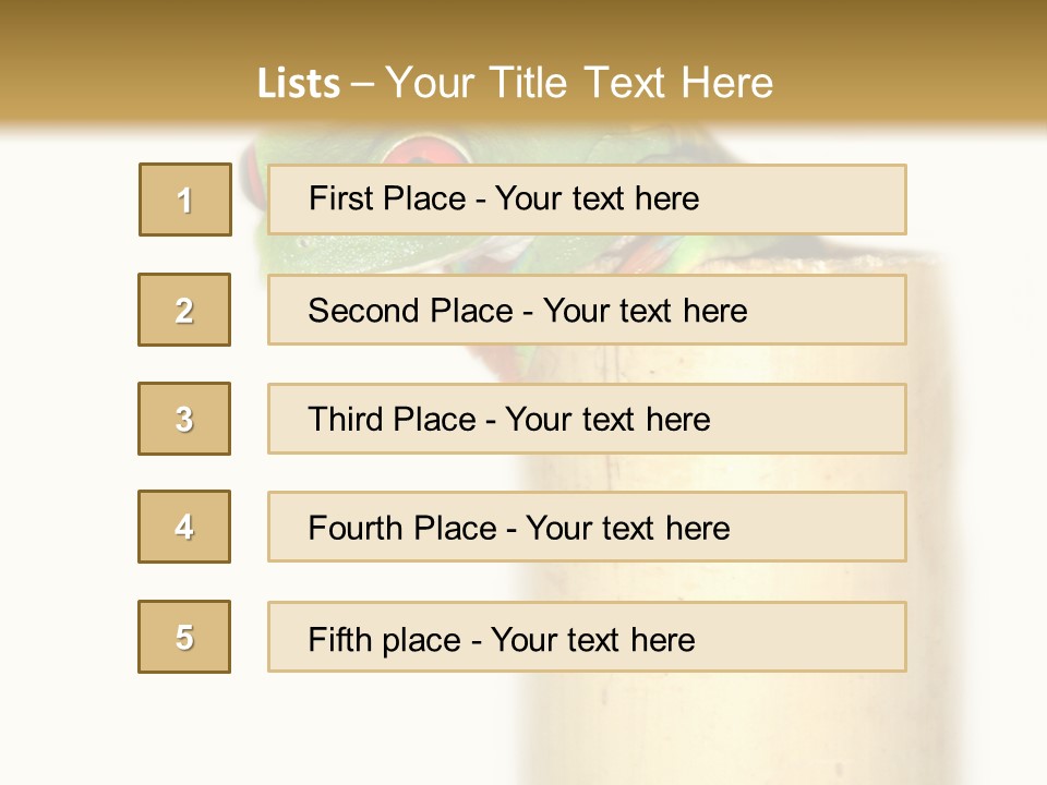 Amphibian Red Eyed Tree Frog Isolated PowerPoint Template
