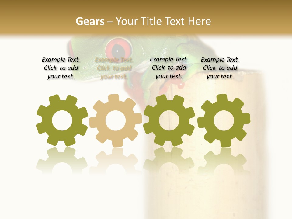 Amphibian Red Eyed Tree Frog Isolated PowerPoint Template