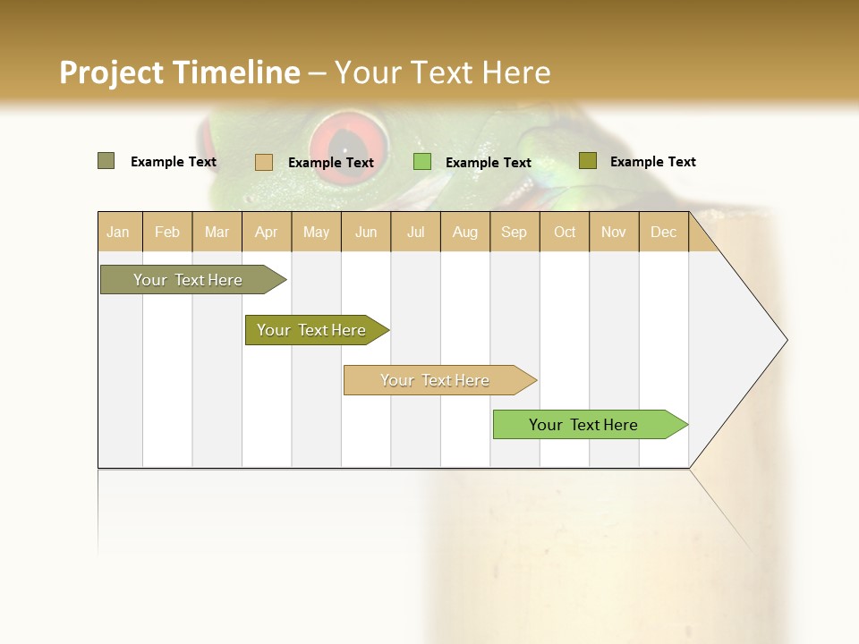 Amphibian Red Eyed Tree Frog Isolated PowerPoint Template