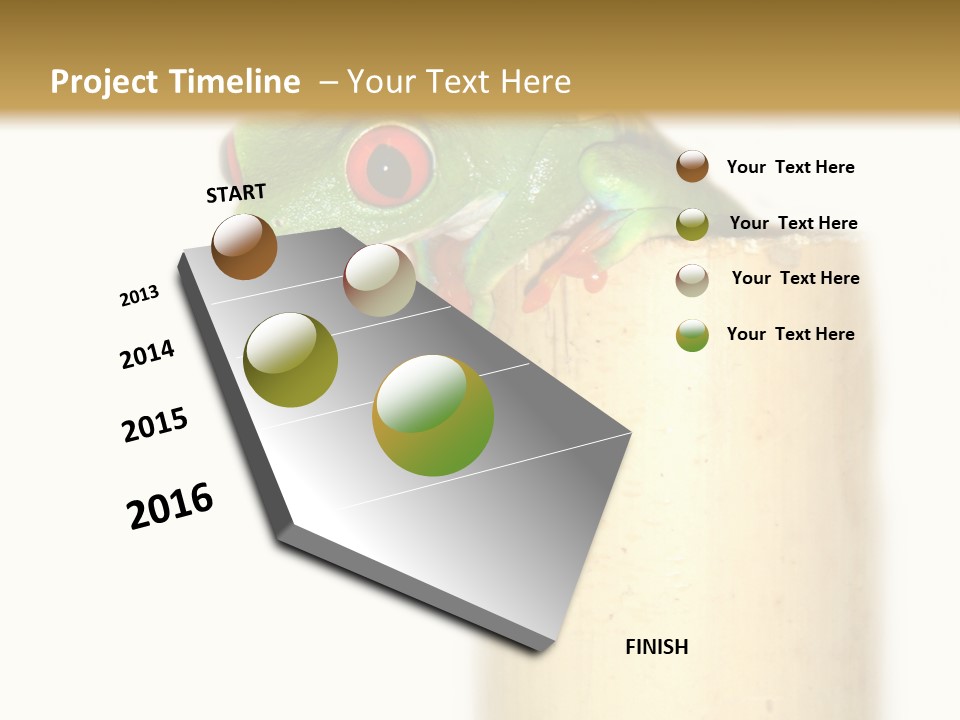 Amphibian Red Eyed Tree Frog Isolated PowerPoint Template