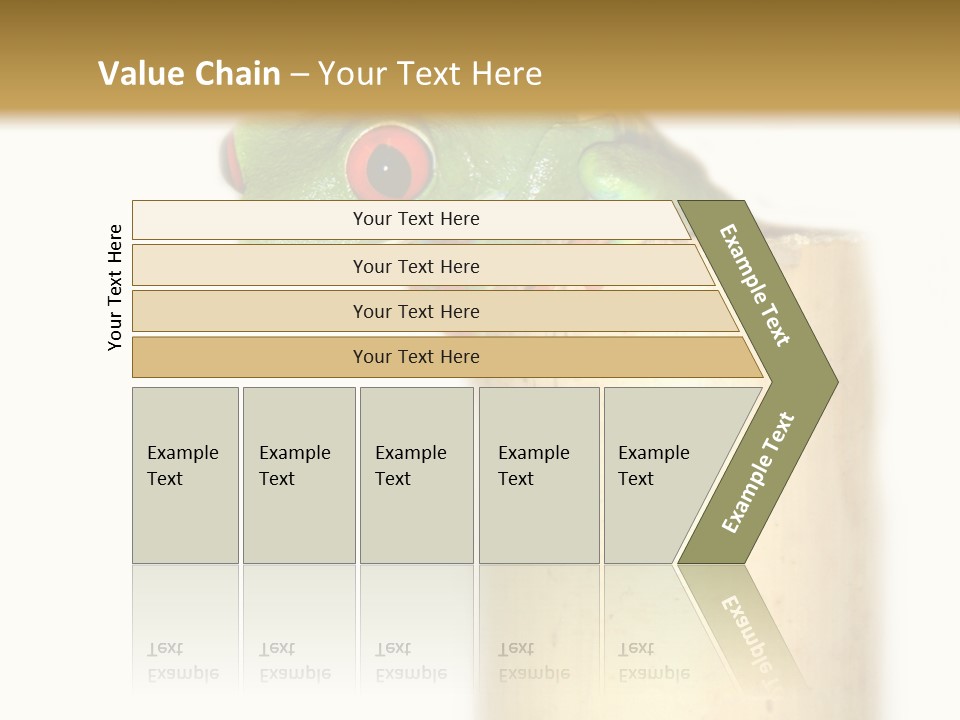 Amphibian Red Eyed Tree Frog Isolated PowerPoint Template