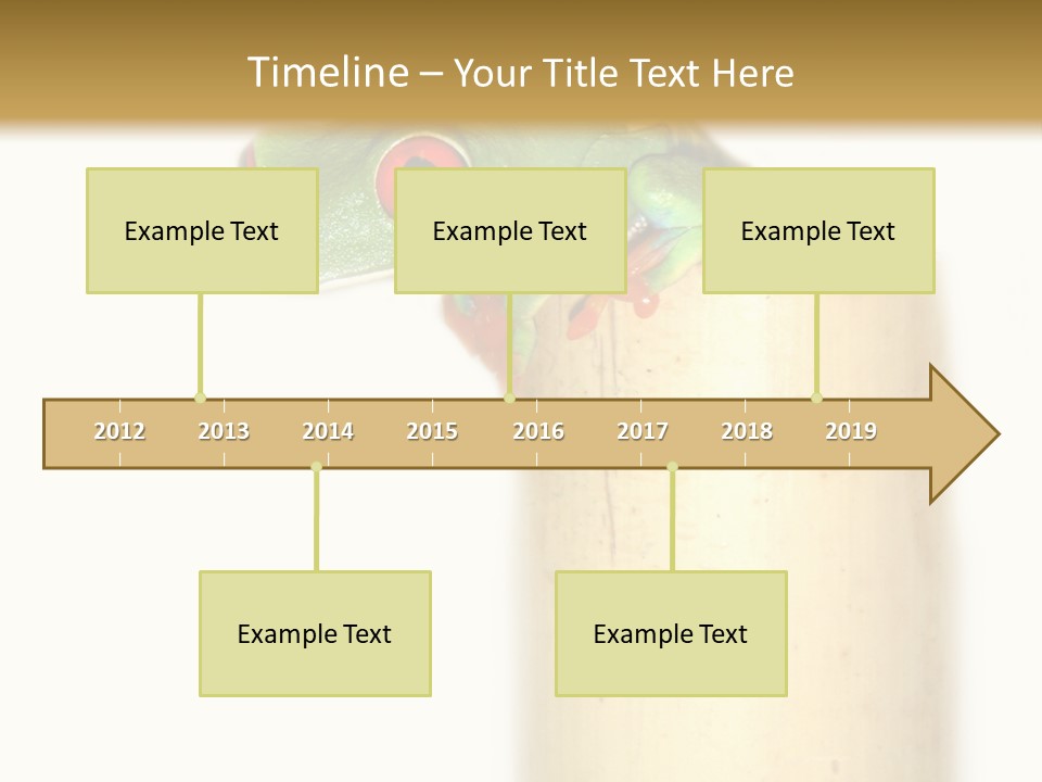 Amphibian Red Eyed Tree Frog Isolated PowerPoint Template