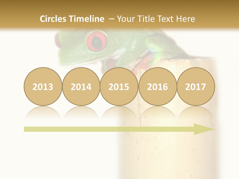 Amphibian Red Eyed Tree Frog Isolated PowerPoint Template