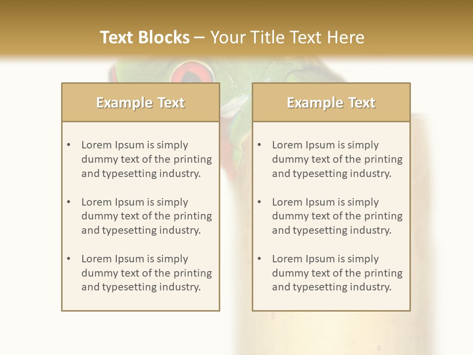 Amphibian Red Eyed Tree Frog Isolated PowerPoint Template