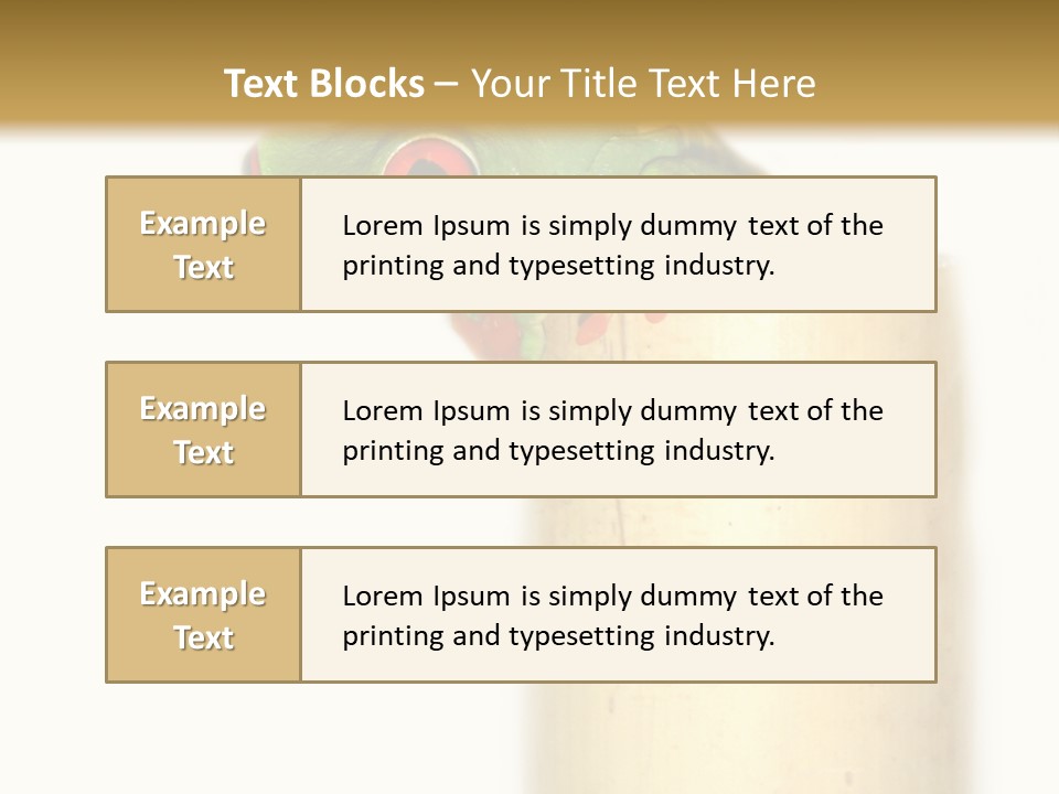 Amphibian Red Eyed Tree Frog Isolated PowerPoint Template