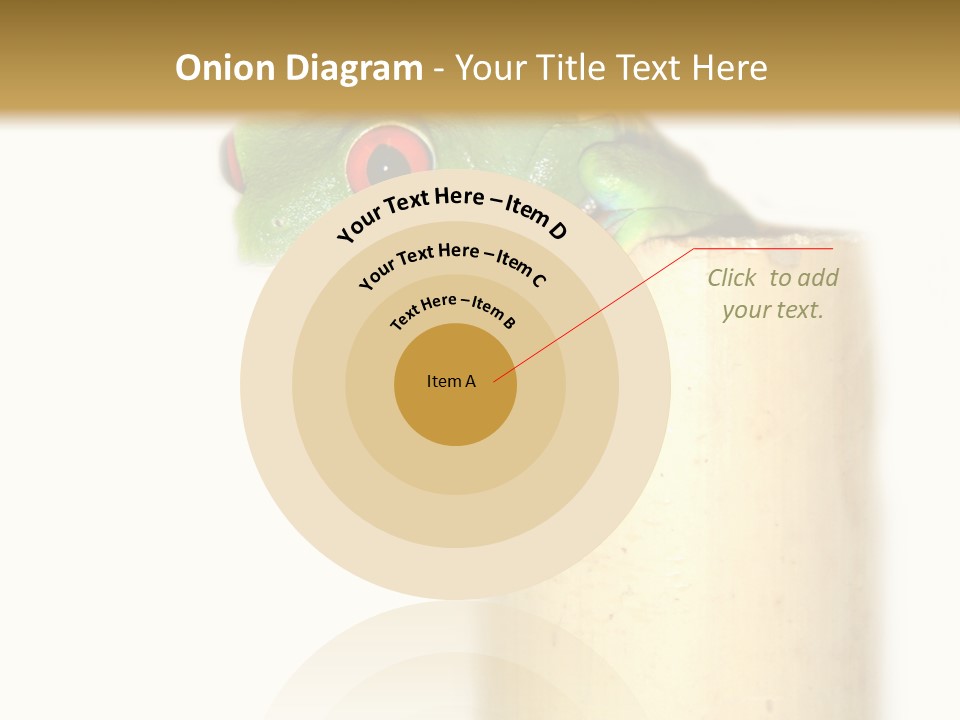 Amphibian Red Eyed Tree Frog Isolated PowerPoint Template