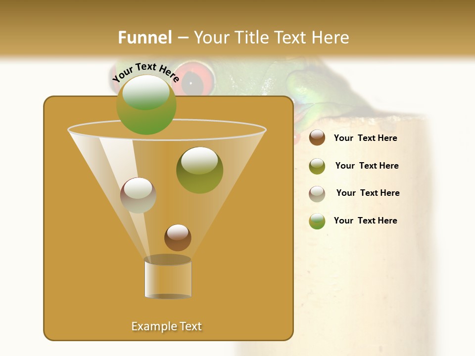 Amphibian Red Eyed Tree Frog Isolated PowerPoint Template