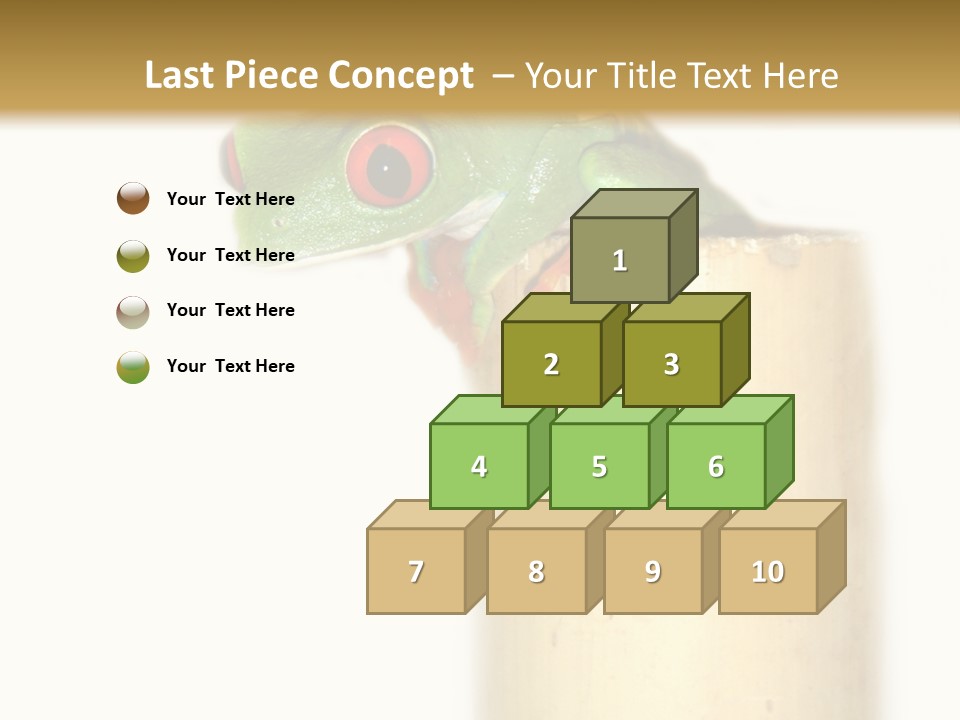 Amphibian Red Eyed Tree Frog Isolated PowerPoint Template