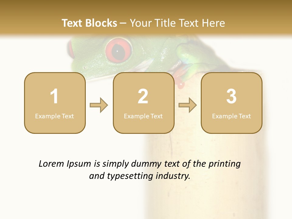 Amphibian Red Eyed Tree Frog Isolated PowerPoint Template