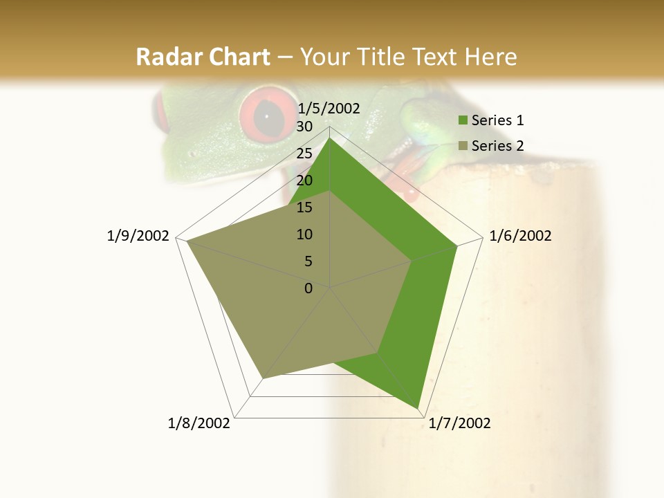 Amphibian Red Eyed Tree Frog Isolated PowerPoint Template