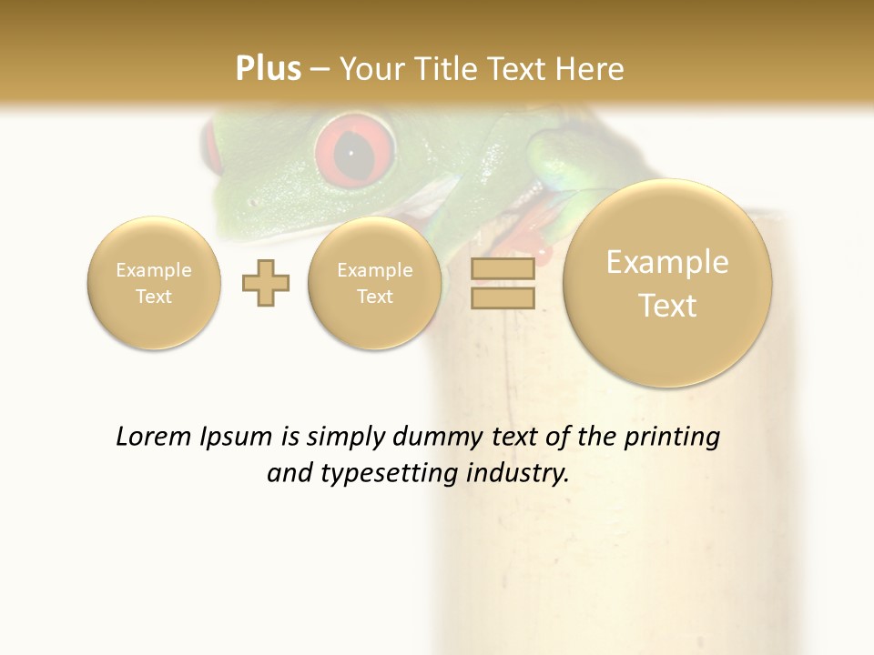 Amphibian Red Eyed Tree Frog Isolated PowerPoint Template