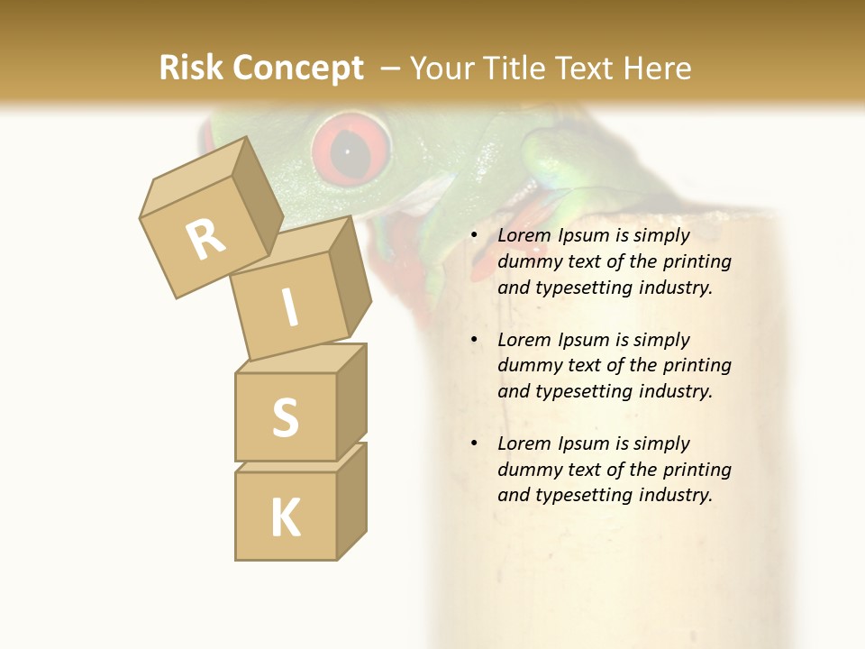 Amphibian Red Eyed Tree Frog Isolated PowerPoint Template