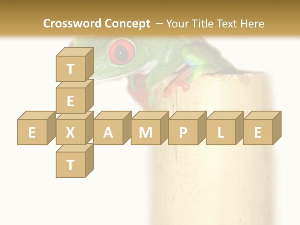 Amphibian Red Eyed Tree Frog Isolated PowerPoint Template