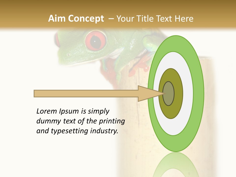 Amphibian Red Eyed Tree Frog Isolated PowerPoint Template