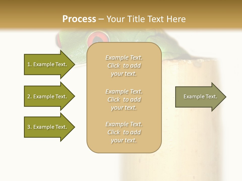 Amphibian Red Eyed Tree Frog Isolated PowerPoint Template