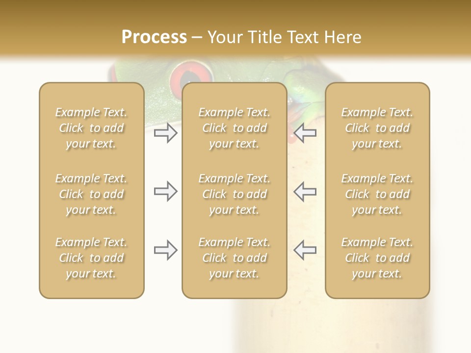Amphibian Red Eyed Tree Frog Isolated PowerPoint Template