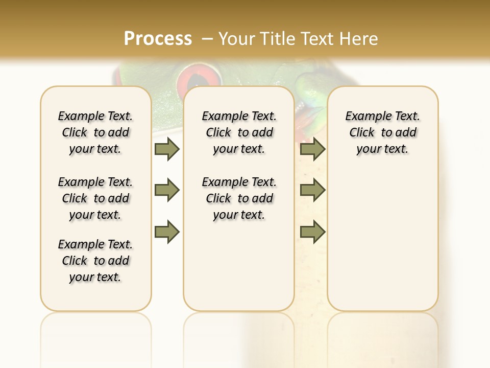 Amphibian Red Eyed Tree Frog Isolated PowerPoint Template