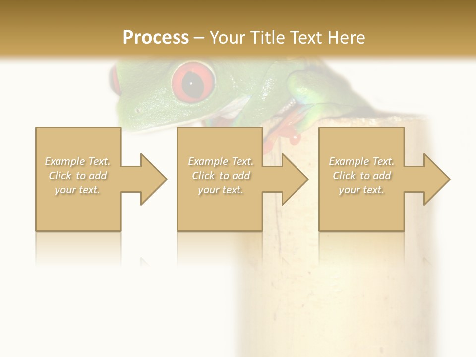 Amphibian Red Eyed Tree Frog Isolated PowerPoint Template